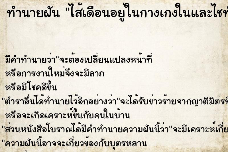 ทำนายฝัน ไส้เดือนอยู่ในกางเกงในและไชทั่วร่างกาย 